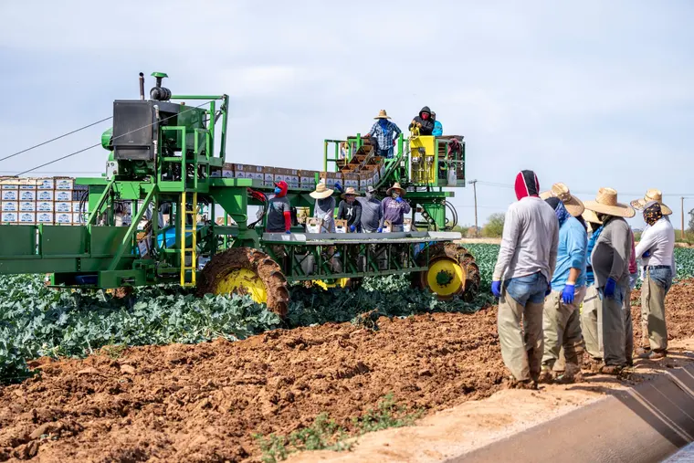 Agriculture jobs abroad
